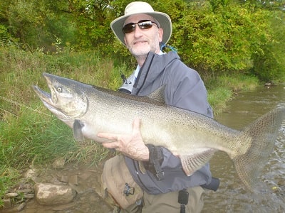 Salmon fishing with minnows in rivers can pay off with big salmon like this one