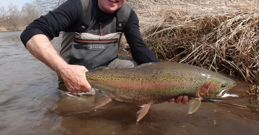 Steelhead fishing with corn is possible due to the bright color of corn and the steelheads curiosity.