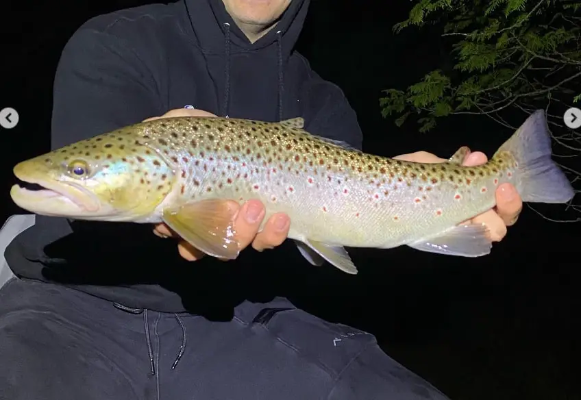 One of Bills clients holding a big brown trout caught fishing at night.