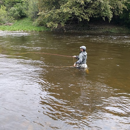 5 Best Fly Lines For Salmon In 2024: Guide Recommended