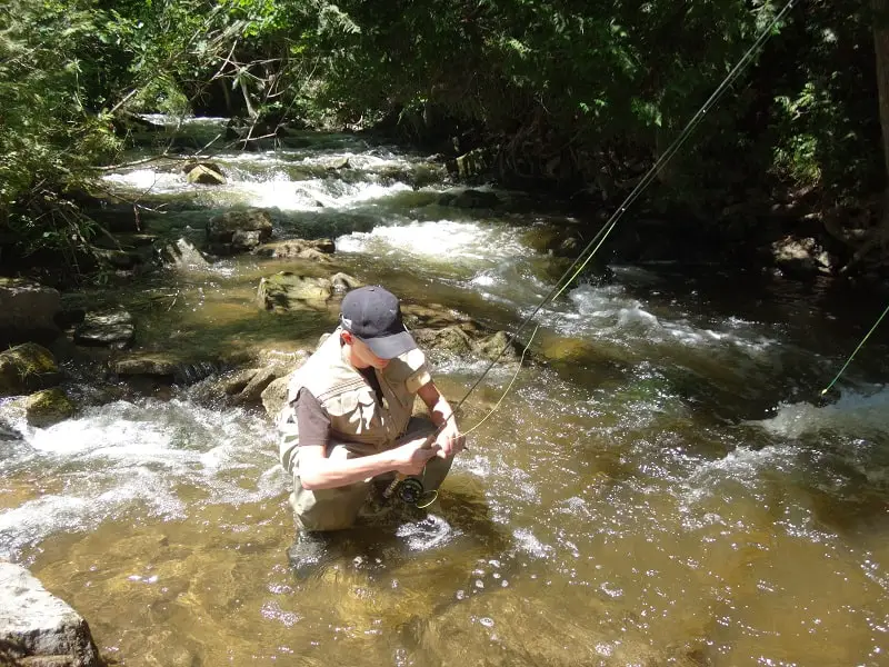 An angler fishing a small stream for trout