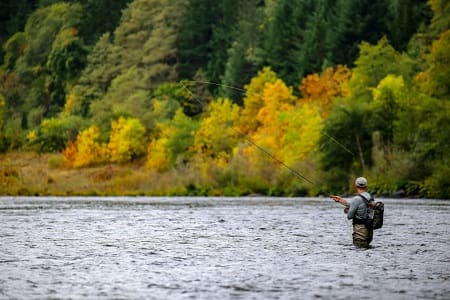 An angler spey casting using the right sink tips