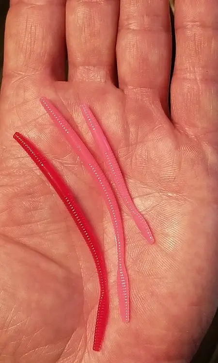 3 plastic worms in my hand