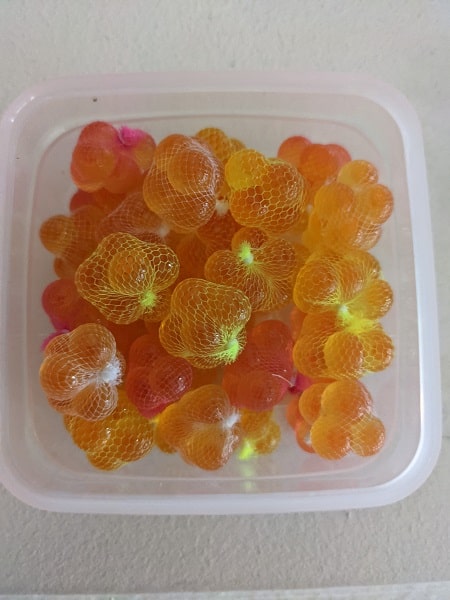 Salmon eggs in a container