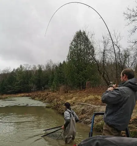 A clients with bent rod waiting for my guide to net the fish.