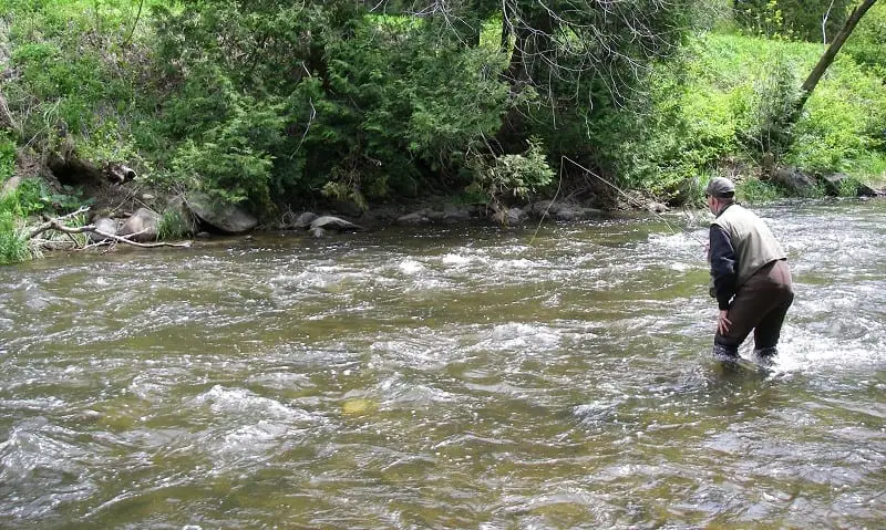 An angler nymphing perfect water for trout