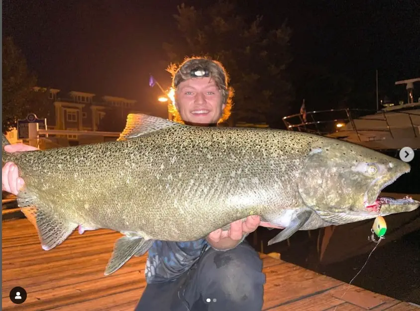 Salmon caught while shore fishing.