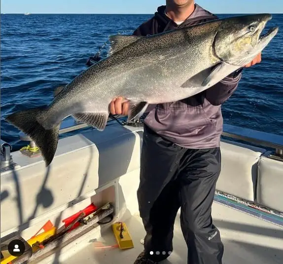 A big king salmon caught on the boat of Fire Plug Charters in Michigan. Hiring an award winning charter is a great way to learn how to catch king salmon