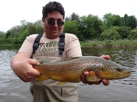 Brown Trout Fishing: Tactics And Tips From Experts