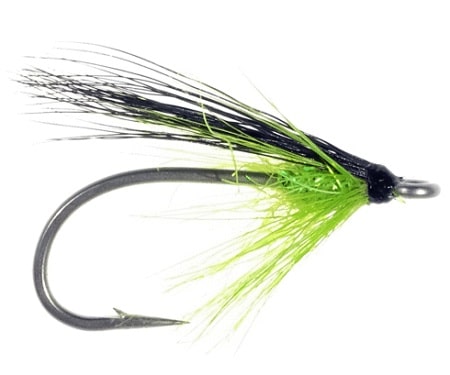 This is the Mercer’s Sockeye Fly which is one of the best flies for Sockeye salmon fishing.