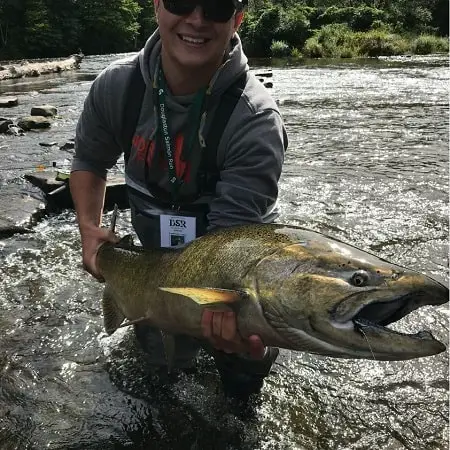 A big chinook salmon from new York