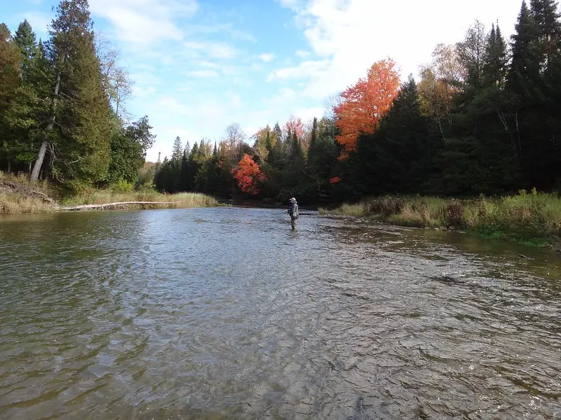 An angler fly fishing for steelhead on the Vermilion River