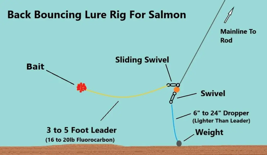 Back Bouncing Bait Rig for Salmon