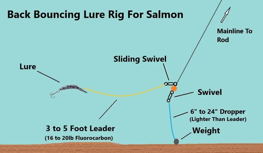 Back Bouncing Lure Rig for Salmon