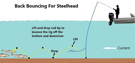 Back Bouncing For Steelhead: Expert Tips For More Fish