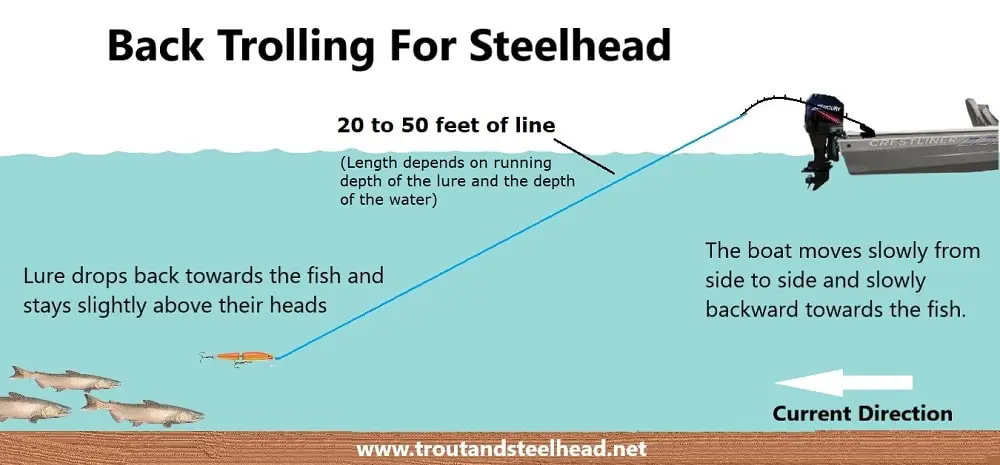 An illustration of the back trolling for steelhead methods and setup