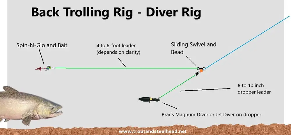 An Illustration of a back trolling rig with the deep diver setup for steelhead.