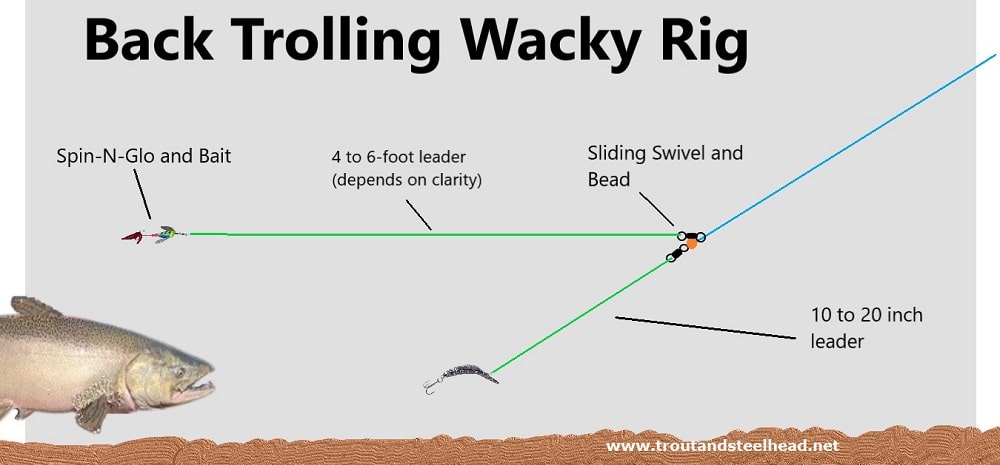 Back Trolling Rig illustration for the Wacky Rig for steelhead and trout.