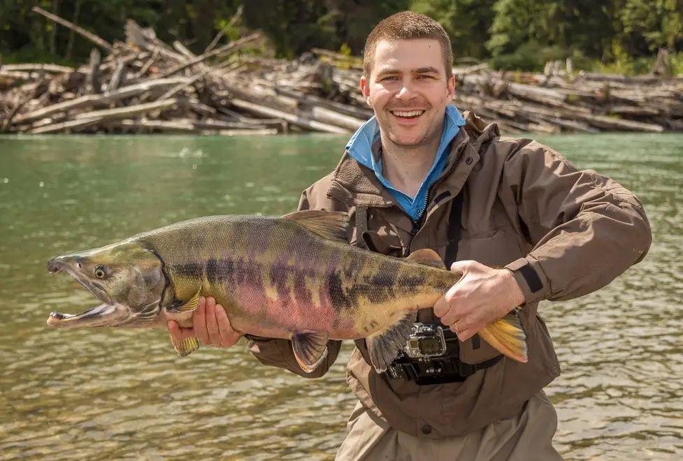 A angler with a big chum salmon caught while chum salmon fishing