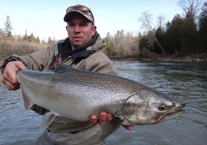 A large chinook salmon caught while side drifting.