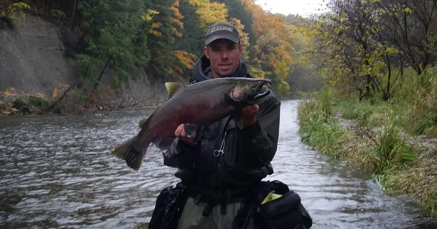 Graham with a dark reddish fall coho