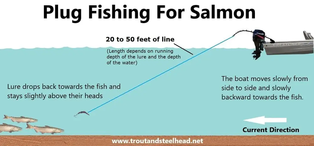 A plug fishing for salmon diagram showing the bait, rod, and plug presentation.