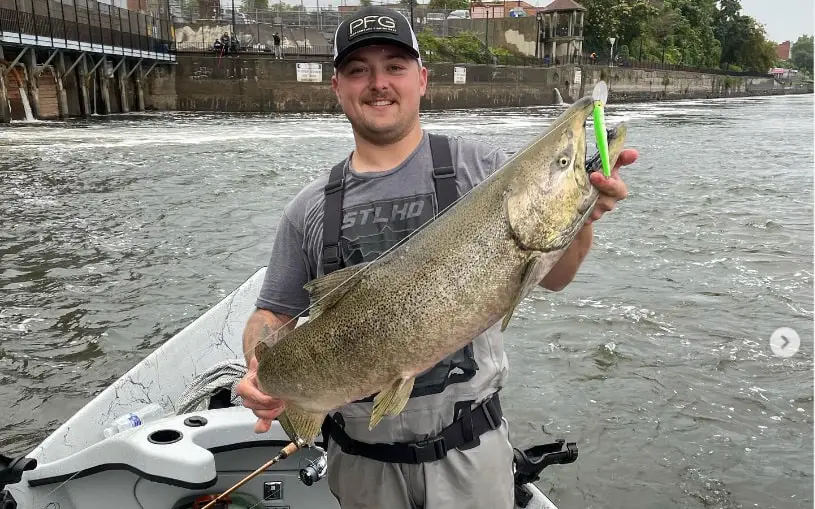 Plug fishing for salmon from a boat can produce big salmon like this large king salmon.