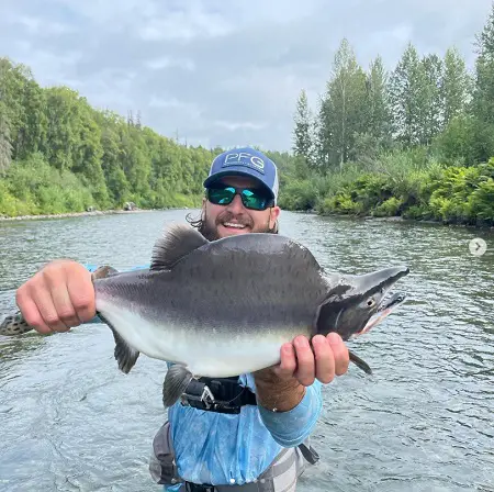 A pink salmon caught on the west coast river using effective pink salmon fishing methods.