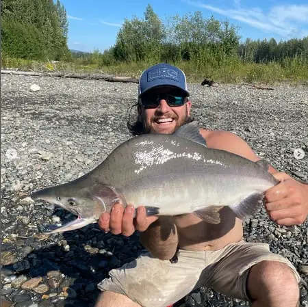 A pink salmon caught on the west coast while pink salmon fishing a river.