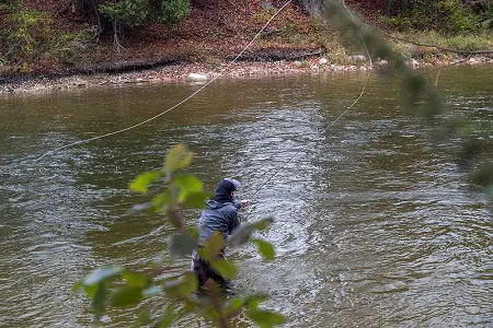 An anger fly fishing for chum salmon