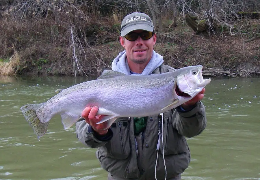 Guide Graham holding a steelhead caught while side drifting for steelhead.