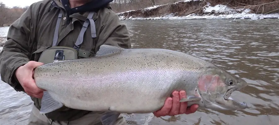 An angler with the right gear for winter steelhead fishing