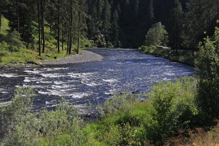 The Southfork of the clearwater river