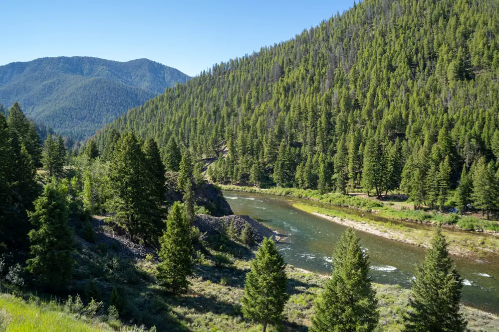 The Salmon River in the Salmon Challis National Forest of Idaho