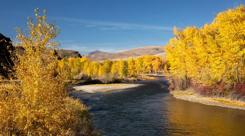 Salmon River has some of the best salmon fishing in Idaho
