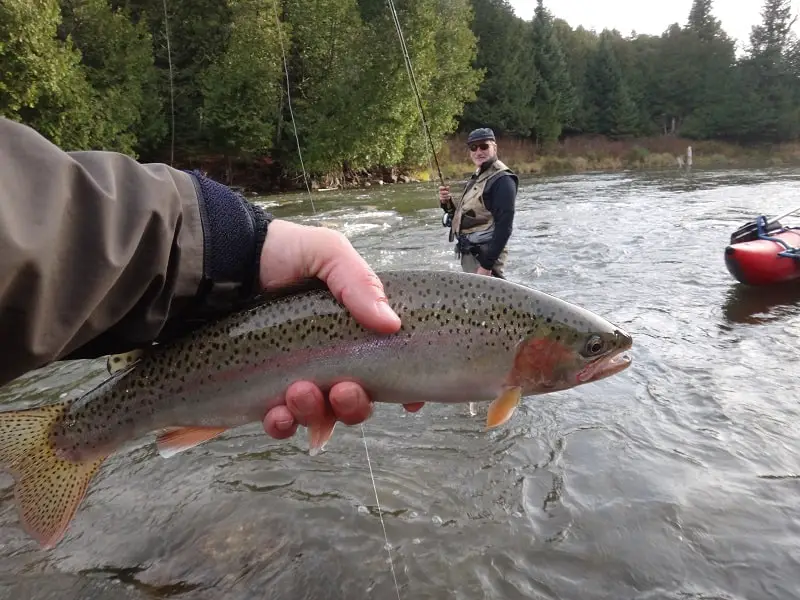 One of my client with all the right gear for fall steelhead fishing.