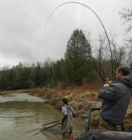 A client reeling in a big steelhead while his guide is ready with the net.