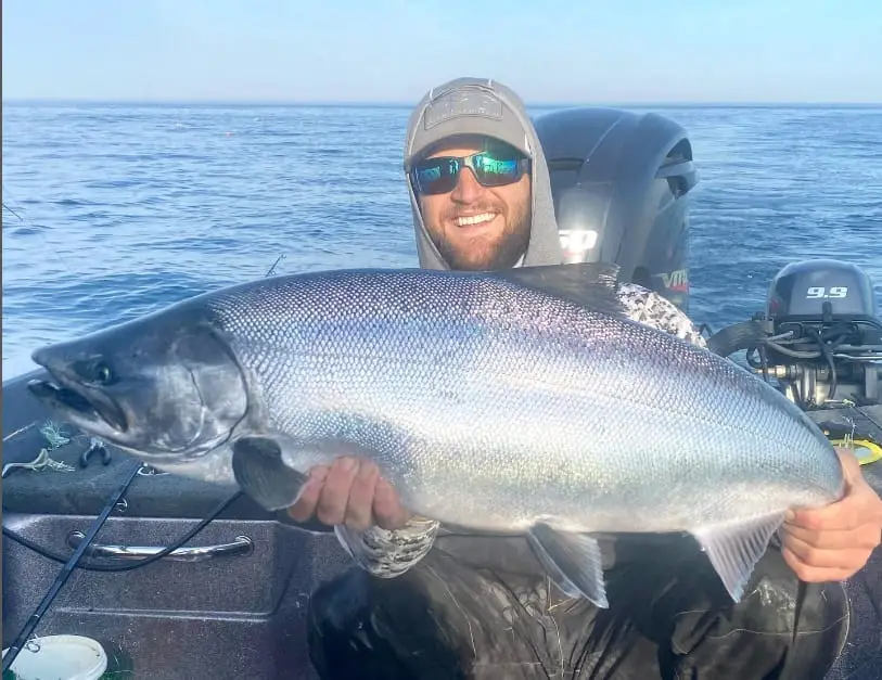  A big silver chinook salmon caught trolling flies for salmon.