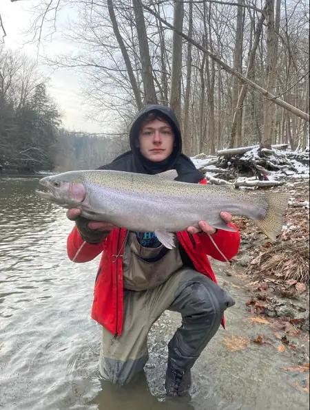 An angler with a large winter steelhead from a PA steelhead river.