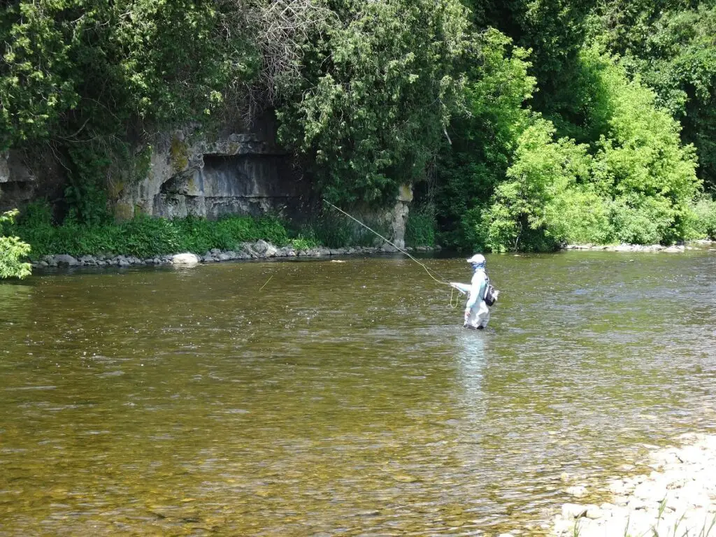 In this image, the angler is bottom bouncing with a fly rod and if you look closely, you can see the sigher just above the water.