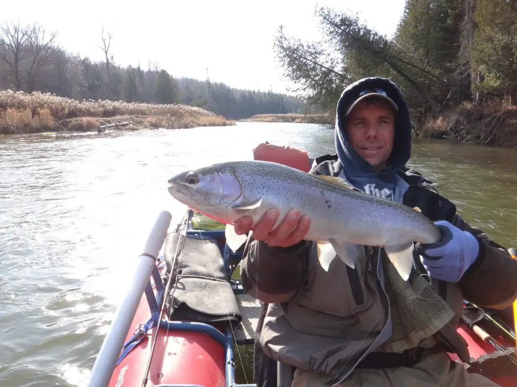 This is guide Graham holding a clients steelhead with my Berkley glove which I consider one of the best fish handling gloves.