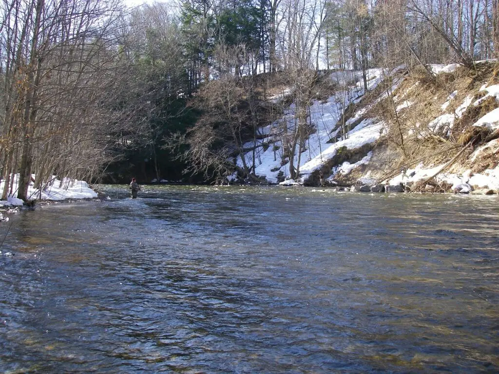 An angler fishing on the Salmon River in NY