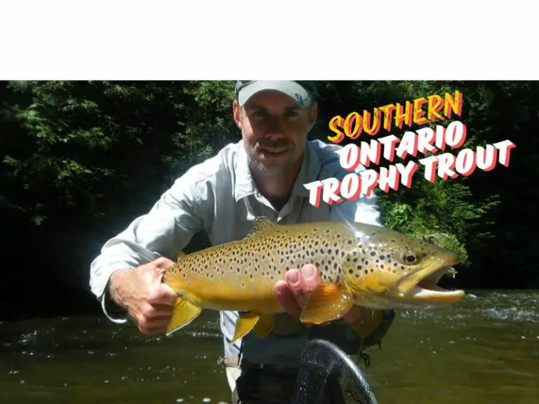Southern Ontario Guide Trips With Graham