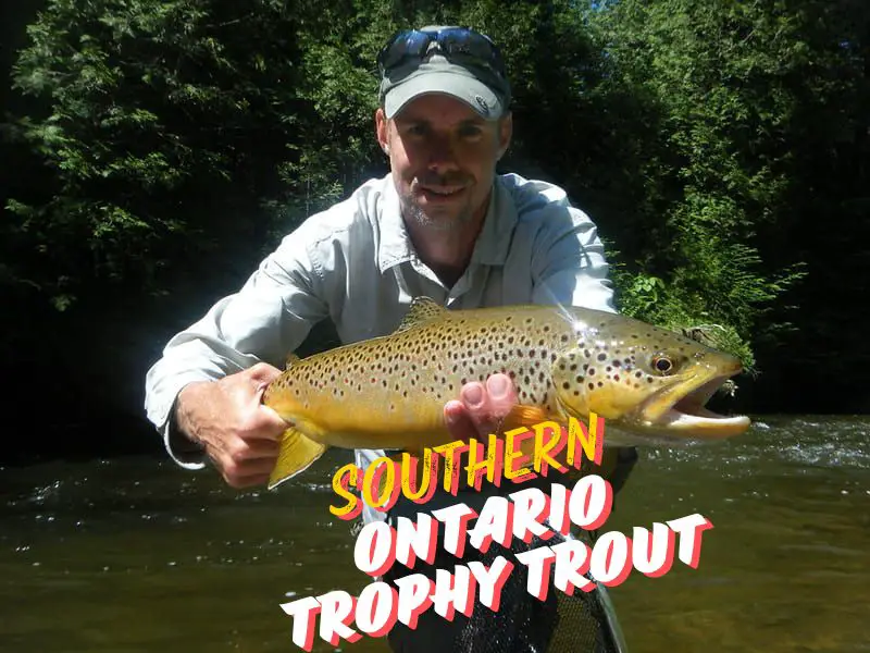 This is Graham, Southern Ontario's top Trophy Trout Guide
